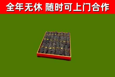 银海回收海参